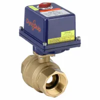 DYNAQUIP CONTROLS Electrically Actuated Two-Way Ball Valve: 2 in, Brass, 12 to 24V AC/DC, Straight (MPN EHH28ATE25H)