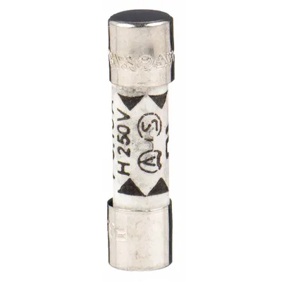 BUSSMANN Fuse: GDA Series, Fast-Acting, 2 A, 250 V AC, Non-Indicating - Fast-Acting Cylindrical Fuses