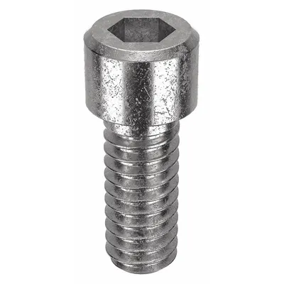 FOREVERBOLT Socket Head Cap Screw: 1/4"-20 Thread Size, 5/8 in Lg, Std, NL-19, Stainless Steel - Inch System Standard Socket Head Cap Screws