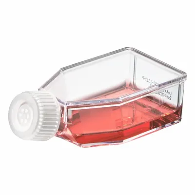 OEM APPROVED VENDOR Plastic Cell Culture Flask - Plastic Cell Culture Flasks