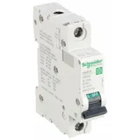 SCHNEIDER IEC Supplementary Protector: 13 A Amps, 60V DC, 14kA at 120/240V AC, Screw Clamp, C60SP, B (MPN M9F21113)