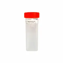 This staining jar is designed for cytology applications, accommodating up to four slides. Made from polypropylene copolymer, it offers chemical resistance for use with alcohols and other reagents. Dimensions: 98 mm height, 30 mm width.