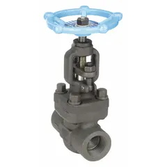 Carbon steel straight-body general-service globe valve with Z-body design. Features a non-rising stem and 1-inch FNPT x FNPT female NPT connections. Suitable for throttling and shut-off applications in industrial piping systems handling steam or other general-service media.
