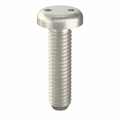 TAMPER-PRUF SCREW Tamper Resistant Screw: #10-32 Thread Size, 3/4 in Lg, Stainless Steel - Pan Head Tamper-Resistant Machine Screws
