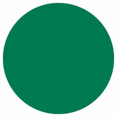 BRADY Inventory Label: 3 in Dia, Green, Circle, Paper, Indoor, No Text, 500 PK - Safety
