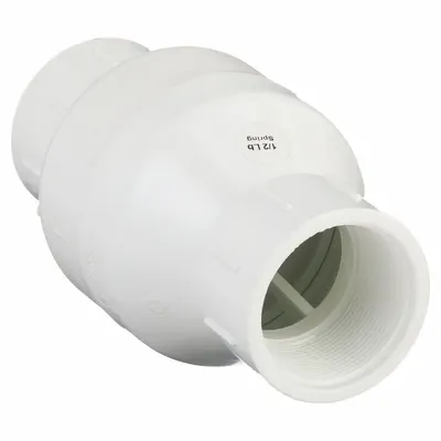 Dayton Spring Check Valve: Inline Valve Body, 2 in Pipe Size, IPT x IPT, PVC - PVC Poppet Check Valves
