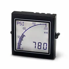 Digital process meter with 9 to 9,999 display span, accepting 12 V AC to 24 V AC input. Features red LCD display, True RMS measurement, graph function, and RS-485 communication. Internal removable terminal blocks simplify wiring. Suitable for monitoring process signals from linear and non-linear sensors in industrial control applications.