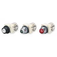 SCHNEIDER ELECTRIC Pilot Light: 30 mm Panel Mounting Size, No Lens Included, Incandescent (MPN 9001SKT35)