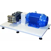 A.R. NORTH AMERICA Pump Skid: Skid Mount, Three-Phase, 4,350 psi, 9.6 gpm, 30 hp (MPN ARRTX30-30HPSKID)