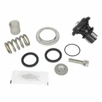 WILKINS Valve Repair Kit: EPDM/Resin/Rubber/Stainless Steel, Mfr Part # RK1-600XL3