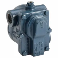 Steam Trap: Cast Iron, 1 in FNPT, 1,100 lb/hr, 175 psi Max., 377°F Max., In-line (MPN 175AI4)