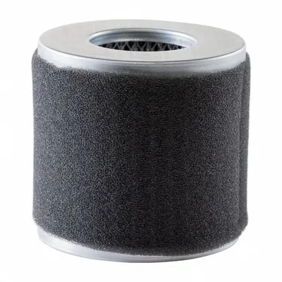 GAST Filter Element: Compatible with Mfr Part # AJ151B/AJ151C/AJ151D - Replacement Parts for Air Motors & Gearmotors