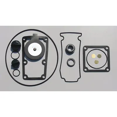 OEM Seal Kit: Mfr Part # 24D052, Dayton - Seal Kits for Dewatering & Wastewater Pumps