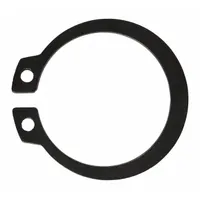 DAYTON Retaining Ring: For, Fits Dayton Brand, 2 PK (MPN EW-35)