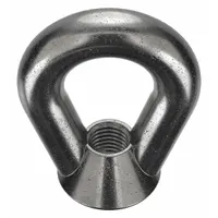 Eye Nut: 7/8"-9 Thread, Steel, Black Oxide, Oval, 1 5/8 in Inside Dia, 3 3/8 in Outside Dia (MPN EN-9-HD)
