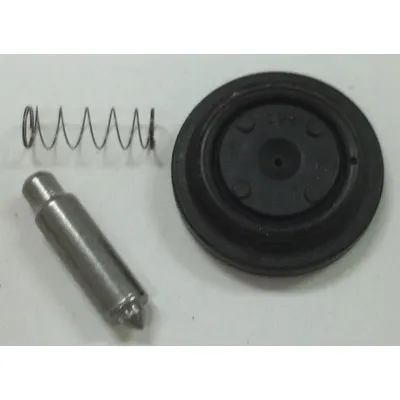 BRADLEY Repair Kit, AST4 Valve, Lower: Rubber/Stainless Steel - Cartridges & Mixing Valve Parts for Wash Fountains