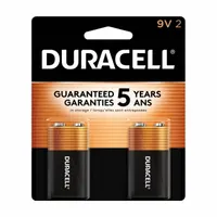 Battery: 9V, Premium, Alkaline, 9V DC, CopperTop, 2 PK (MPN MN1604B2Z)