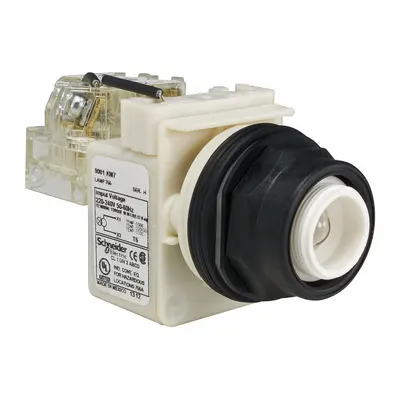SCHNEIDER Pilot Light: 30 mm Panel Mounting Size, No Lens Included - Incandescent Pilot-Lights without Lenses