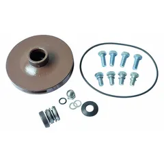 This repair kit includes an impeller and a Viton gasket for rebuilding Dayton straight centrifugal pumps. It is compatible with pump models 2ZXJ1 and 2ZXJ2. Used in industrial fluid-handling applications to restore pump performance.