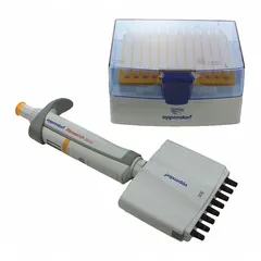 This 8-channel manual adjustable volume pipettor has a maximum capacity of 300 µL with 0.2 µL volume increments. The orange autoclavable design supports routine liquid handling tasks such as sample preparation, serial dilutions, and plate filling in laboratory settings.