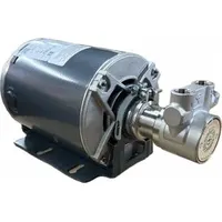 FLUID-O-TECH Rotary Vane Pump: Direct Drive, 1/4 hp, 115/230V AC, Stainless Steel Body, 3/8" NPT (MPN PA1511-25M)
