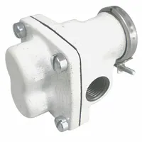 DAYTON Rotary Gear Pump Head: Direct Drive, Cast Iron, 1/2" FNPT, Steel, 304 SS, 1/3 hp Req., Spur