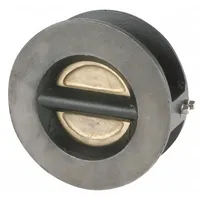 SSI Double Disc Check Valve: Double Disc, Inline Valve Body, 4 in Pipe Size, Wafer, Wafer, Wafer (MPN 0400-300WTTTM-T)
