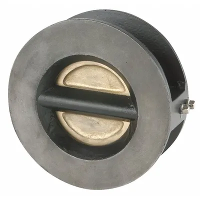 SSI Double Disc Check Valve: Double Disc, Inline Valve Body, 4 in Pipe Size - Stainless Steel Double-Door Wafer Check Valves