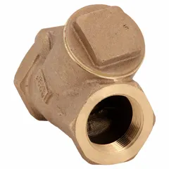 Bronze Y-style swing check valve with 2-1/2" FNPT x FNPT NPT connections. The Y-shaped body and swing disc permit flow in one direction and close automatically upon flow reversal, preventing backflow in piping systems.