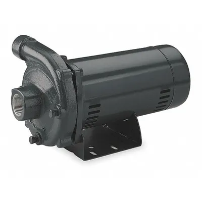 Dayton Centrifugal Pump: 2 1/2 hp, 230V AC, 142 ft Max Head, 2 in - 2 to 3 HP Straight Centrifugal Pumps