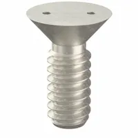 Tamper Resistant Screw: #10-24 Thread Size, 1/2 in Lg, Stainless Steel, Plain, Flat, Spanner, 25 PK (MPN 121880)