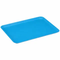 Blue fiberglass lid measuring 11 3/4 in x 8 3/4 in, designed for extreme-temperature stacking and nesting totes. Compatible with tote models 1NTL9, 1NTN1, 9AHR1, 9PTZ0, and 9U909. Used in industrial storage and material handling to protect contents from heat, cold, and debris.