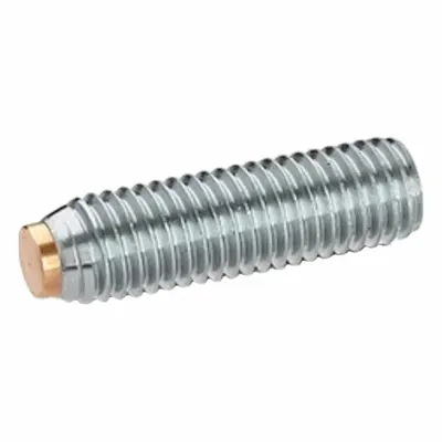 JW WINCO Set Screw with Brass Tip: Stainless Steel, Brass Tip, M12 Thread Size - Non-Marring Half Dog Point Set Screws