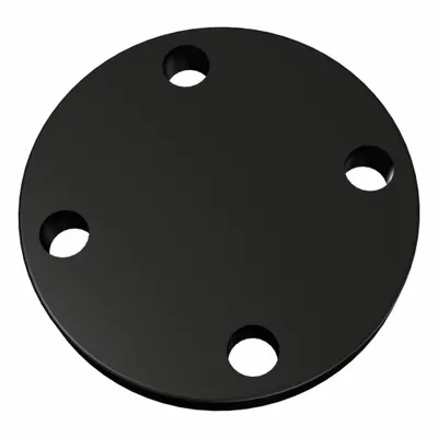 OEM Metal Pipe Flange: 1 in - Blind Iron Pipe Flanges