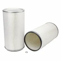 FLEETGUARD Automotive Air Filter: Round-Oval, Round, Axial Seal, 11 15/16 in Outside Dia, PA2454 (MPN AF880)