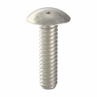 Tamper Resistant Screw: #10-24 Thread Size, 3/4 in Lg, Stainless Steel, Plain, Truss, Spanner, 10 PK (MPN 6001060)