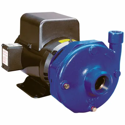 GOULDS WATER TECHNOLOGY Centrifugal Pump: 10 hp, 230V AC, 125 ft Max Head, 3 in - 5 to 10 HP Straight Centrifugal Pumps