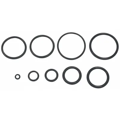 SPEEDAIRE O-ring Kit: Mfr Part # PN31CCP29G - Air Tool Replacement Parts