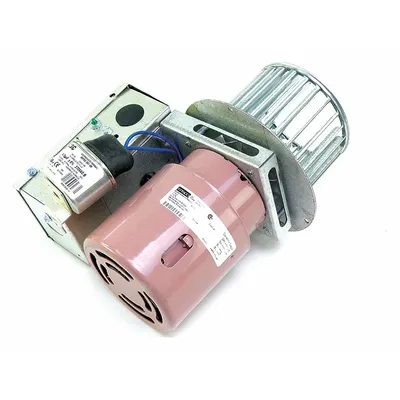 REZNOR Venter Motor and Wheel 63174 - Assorted Brands Oven Replacement Parts