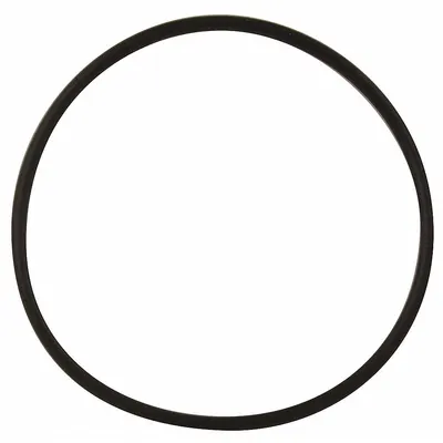 FLINT & WALLING Gasket: For Booster Pump - Seal Kits & Gaskets for Booster Pumps