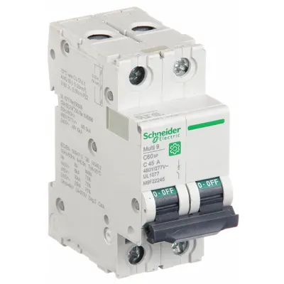SCHNEIDER Supplementary Protector: 45 A Amps, 10kA at 240V AC, Screw Clamp, C60SP - C-Curve, 2-Pole UL1077 DIN Rail-Mount Supplementary Protectors