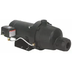 This shallow-well jet pump is designed for drawing water from wells up to 25 feet deep. It features a 1 hp single-phase motor rated for 115/230V AC and includes an ejector for self-priming operation. Suitable for residential water supply, irrigation, and light agricultural applications.