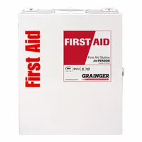 This unitized first aid kit meets ANSI/ISEA Z308.1-2021 Type I/II, Class A standards. It contains 25 adhesive bandages, 10 antibiotic ointment packets, and 2 trauma pads, with no oral or inhalant medicinals. Suitable for workplace and industrial settings to address common minor injuries