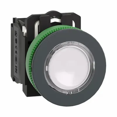 SCHNEIDER Illuminated Push Button: Illuminated, Flush Profile, Non-Metallic, 30 mm - Illuminated Flush-Mount Push Buttons