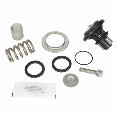 WILKINS Valve Repair Kit: EPDM/Resin/Rubber/Stainless Steel - Valve Repair Kits