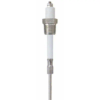 LUMENITE Liquid Level Probe: 2 Probes, NPT, 3/8 in Process Connection Size - NPT Connection Probes