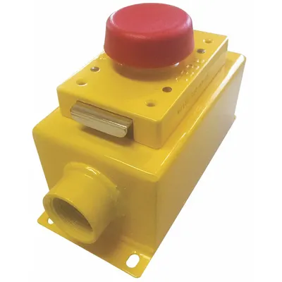 REES Mushroom Head Push Button: Non-Illuminated, Mushroom Head Profile, Non-Metallic - Mushroom-Head Push Buttons