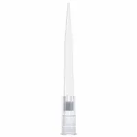 GLOBE SCIENTIFIC Filtered Pipette Tip: Sterile, 300 ul Capacity, Preconfigured Rack, Clear, 1,920 (MPN 150925)