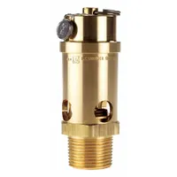 CONRADER Safety Valve: Soft Seat, 1 in (M)NPT Inlet (In.), 1 in (F)NPT Outlet (In.), Brass, Silicone (MPN SRV765-1-225 SST)