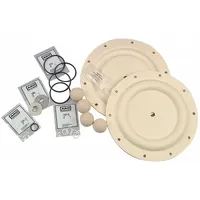 ARO Fluid End Repair Kit: Fluid End Repair Kit, 637161-EB-C, Santoprene, Santoprene